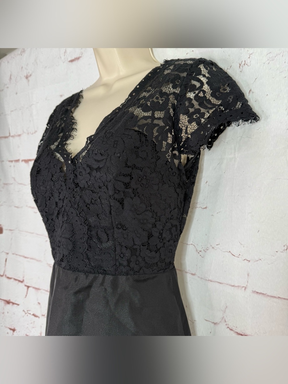 NOIR by Lazaro Black Chantilly Lace Silk Organza Formal Evening Gown Size 12 - Picture 15 of 16
